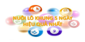 Nuoi khung 5 ngay lô đề K8 như thế nào cho hiệu quả?