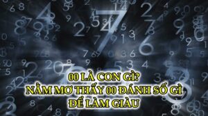 00 là con gì? Nằm mơ thấy 00 đánh số gì để giàu trong chớp mắt