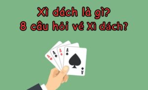 Ngũ linh có ăn được xì dách không? Giải đáp cùng k8