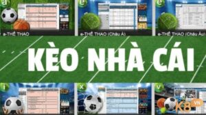 Nha cai net - Đánh giá chi tiết kèo nhà cái mới nhất 2023