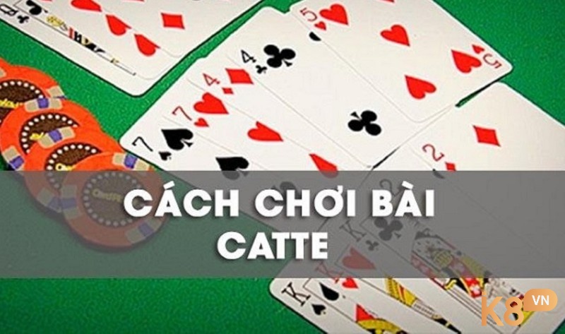 Khám phá cách chơi bài catte cụ thể