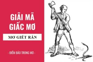 Mộng thấy giết rắn có ý nghĩa gì? Điềm lành hay điềm dữ?