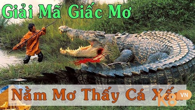 Nằm mộng thấy cá sấu mang theo điềm xấu gì?