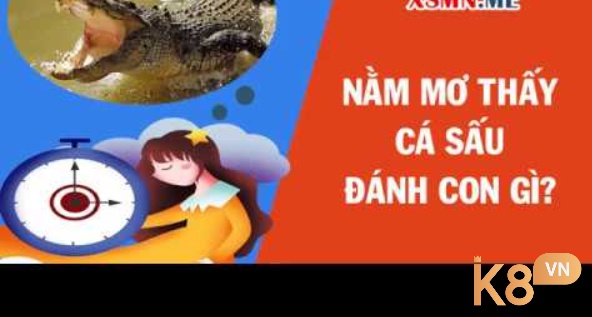 Nằm mộng thấy cá sấu đánh con gì may mắn