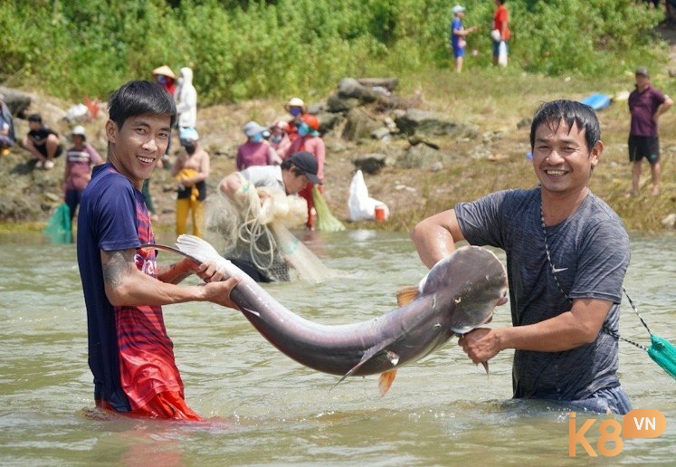 Chiêm bao thấy bắt cá hôm sau nên đánh con đề nào?