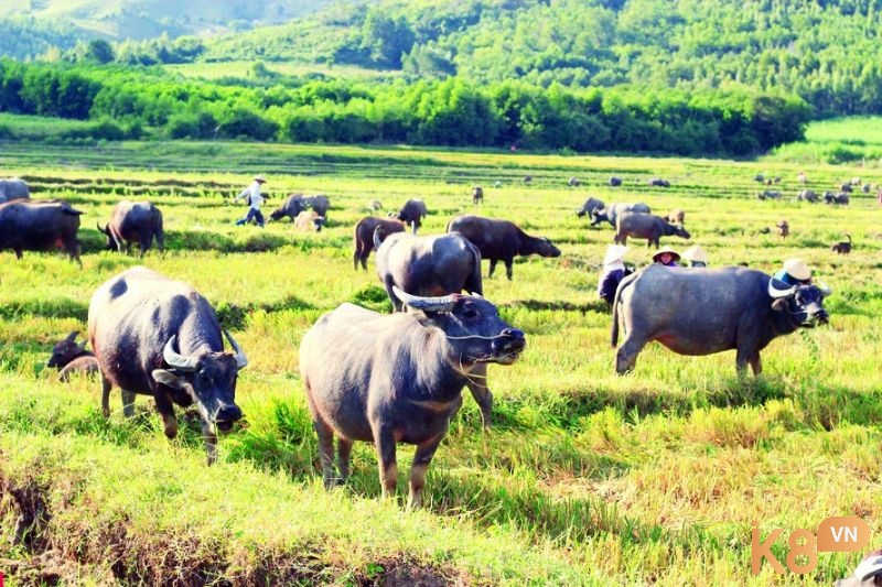 Sẽ gặp những khó khăn trong công việc