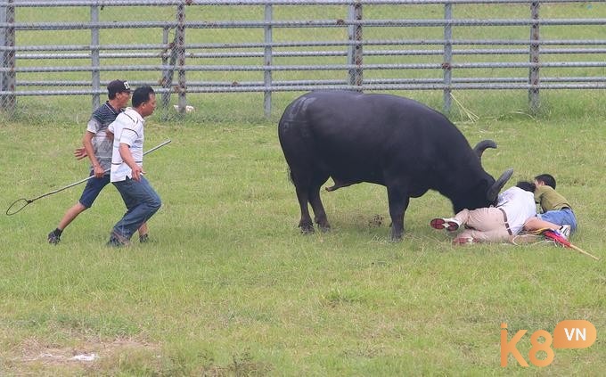 Báo hiệu cho một tình yêu tốt đẹp đang đến với bạn 